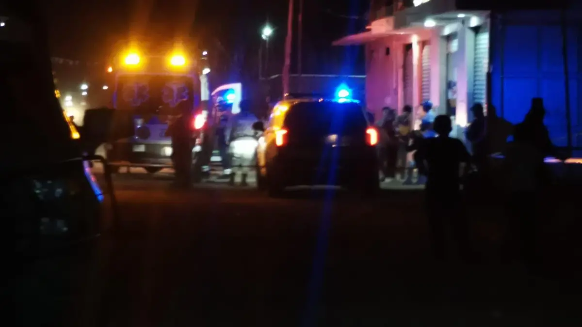 33ad982c-7572-416b-99c1-4fa37c87368b