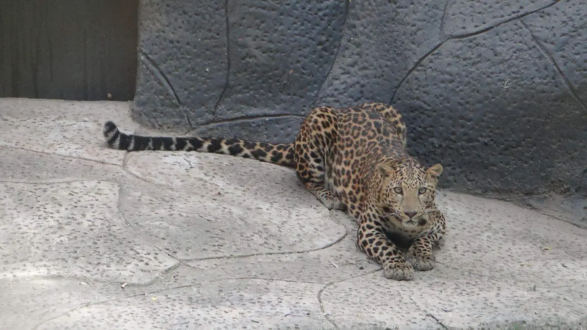 90f7e0da-a9d6-4e4d-97f2-a9bc09da736c