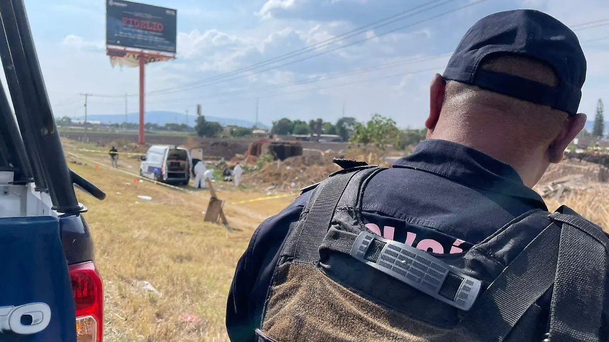 WhatsApp Image 2026-04-19 at 15.54.44 (1)