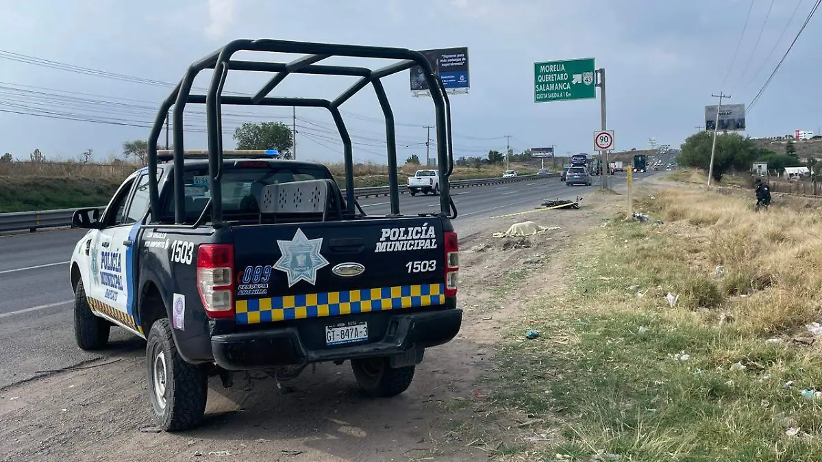 e0e405c0-dd32-43cd-ad1a-fbf6d96f28e0