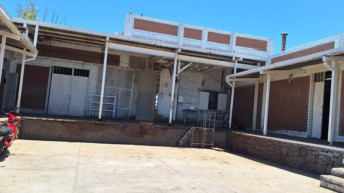 PENJAMO Rastro municipal 2