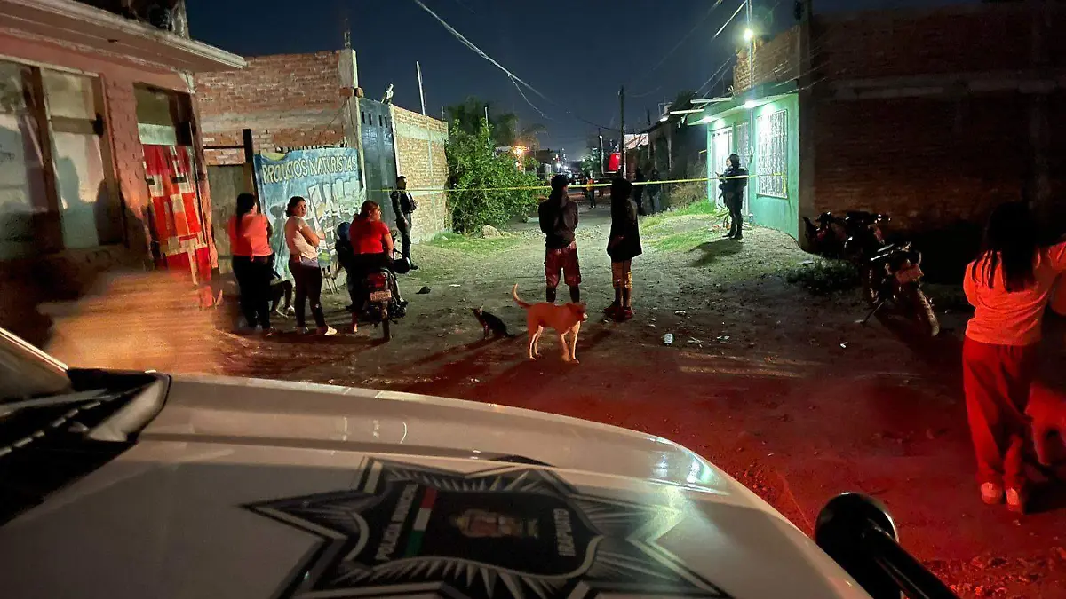 33f08a1b-f036-46bf-ba6d-a31218ed3e99