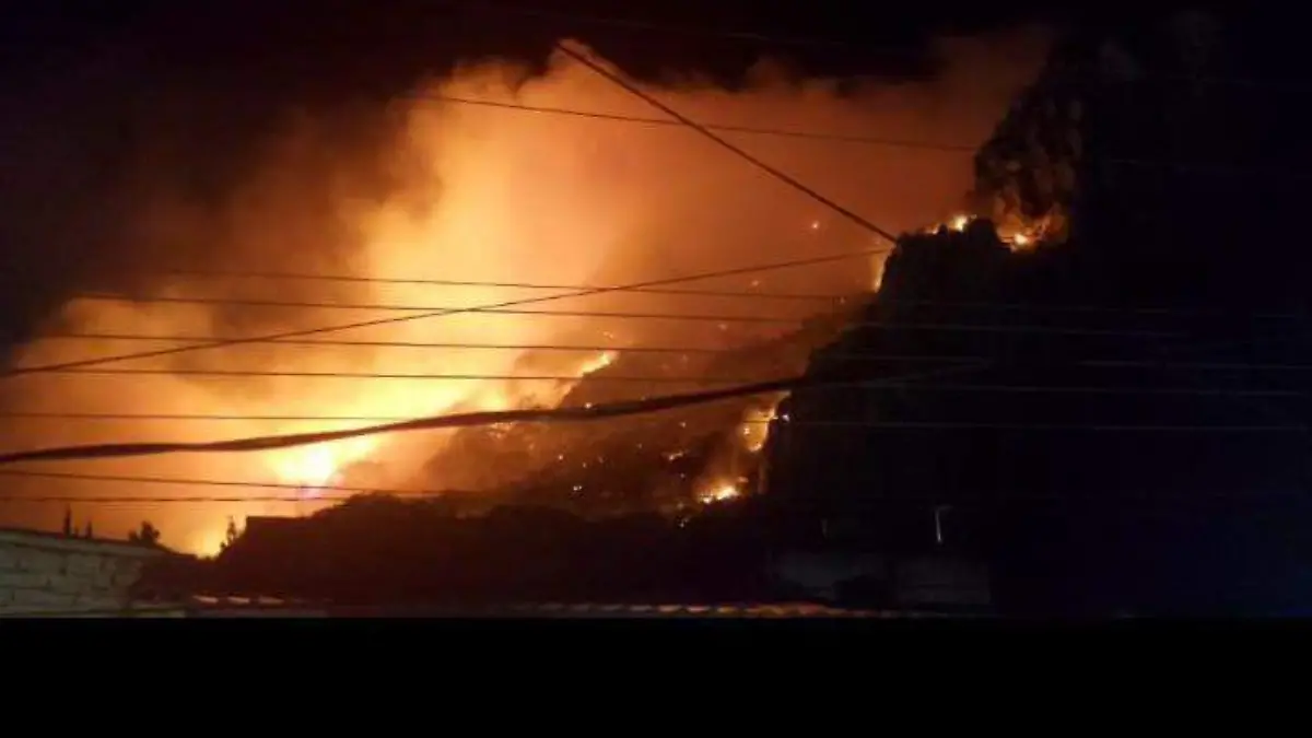 WhatsApp Image 2026-04-24 at 11.31.31 PM