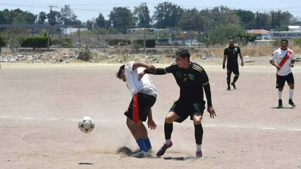 calificados