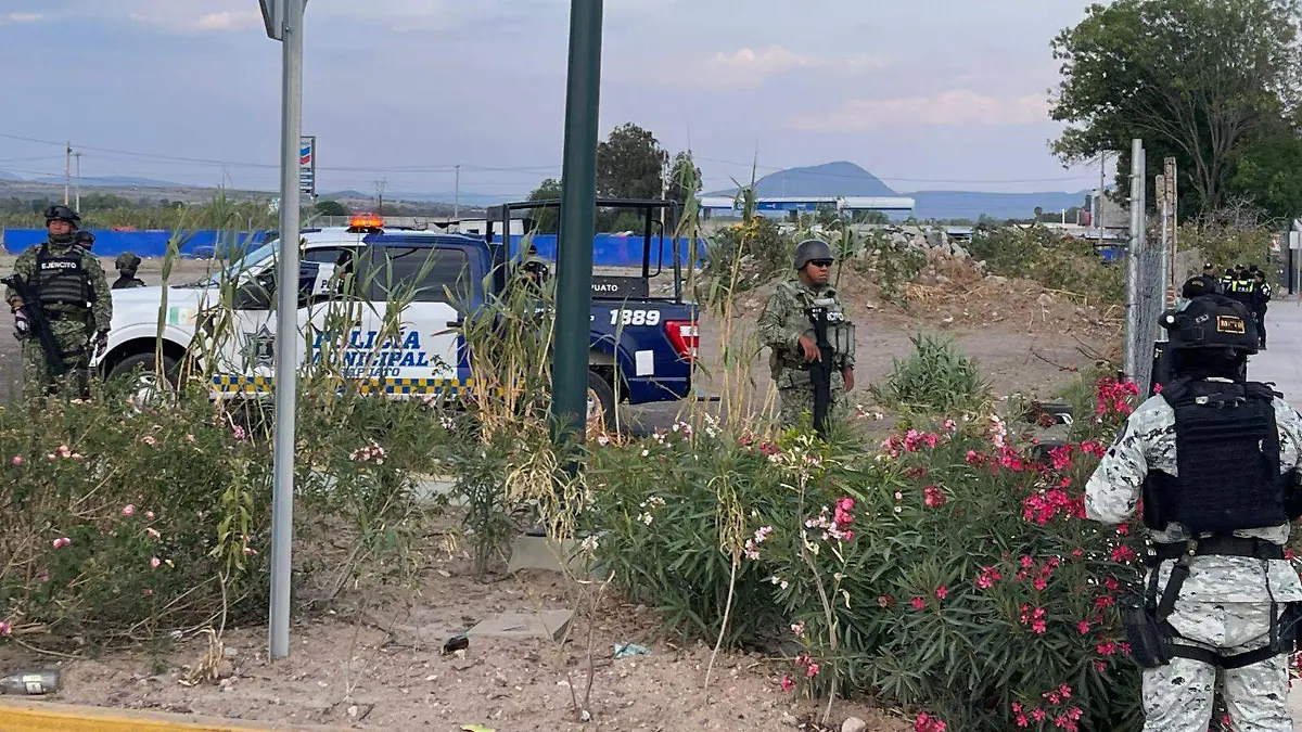 e217fb2c-5381-40bd-884a-2f0e2de30ed4