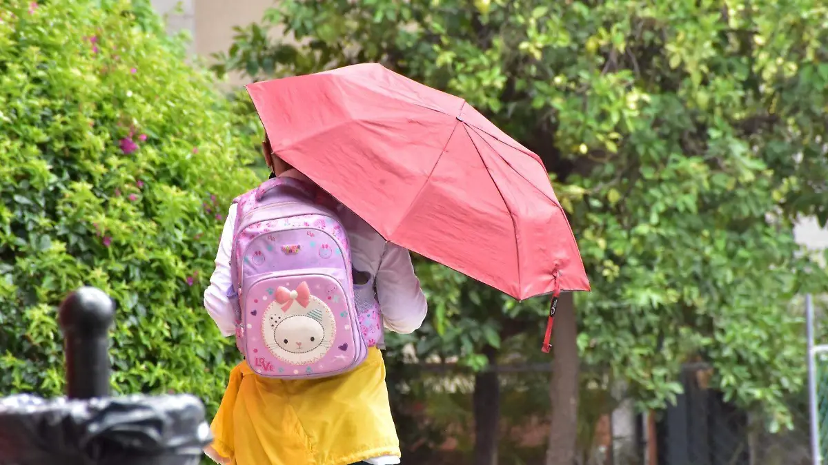 WhatsApp Image 2026-04-28 at 16.10.43