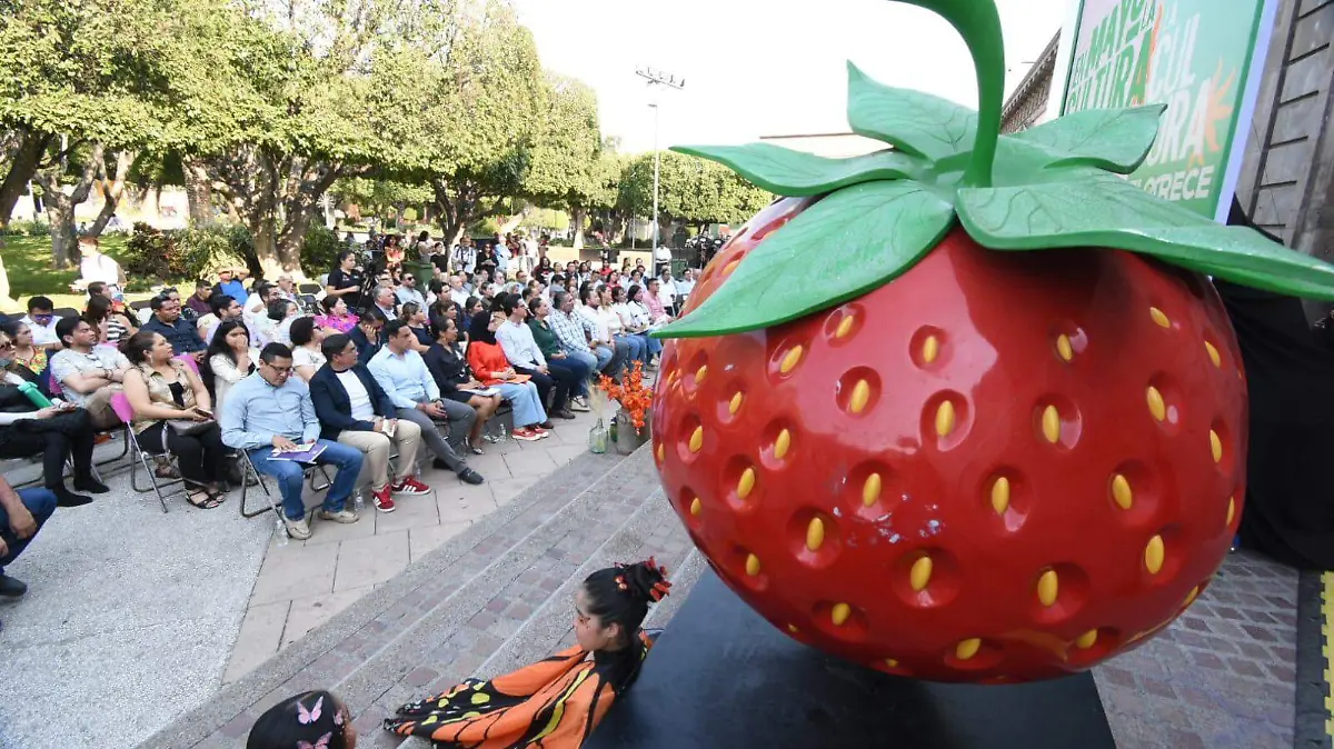 WhatsApp Image 2026-05-05 at 6.52.30 PM