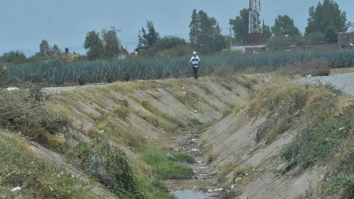 CANALES.- RICARDO SANCHEZ.- EL SOL DE IRAPUATO (2)