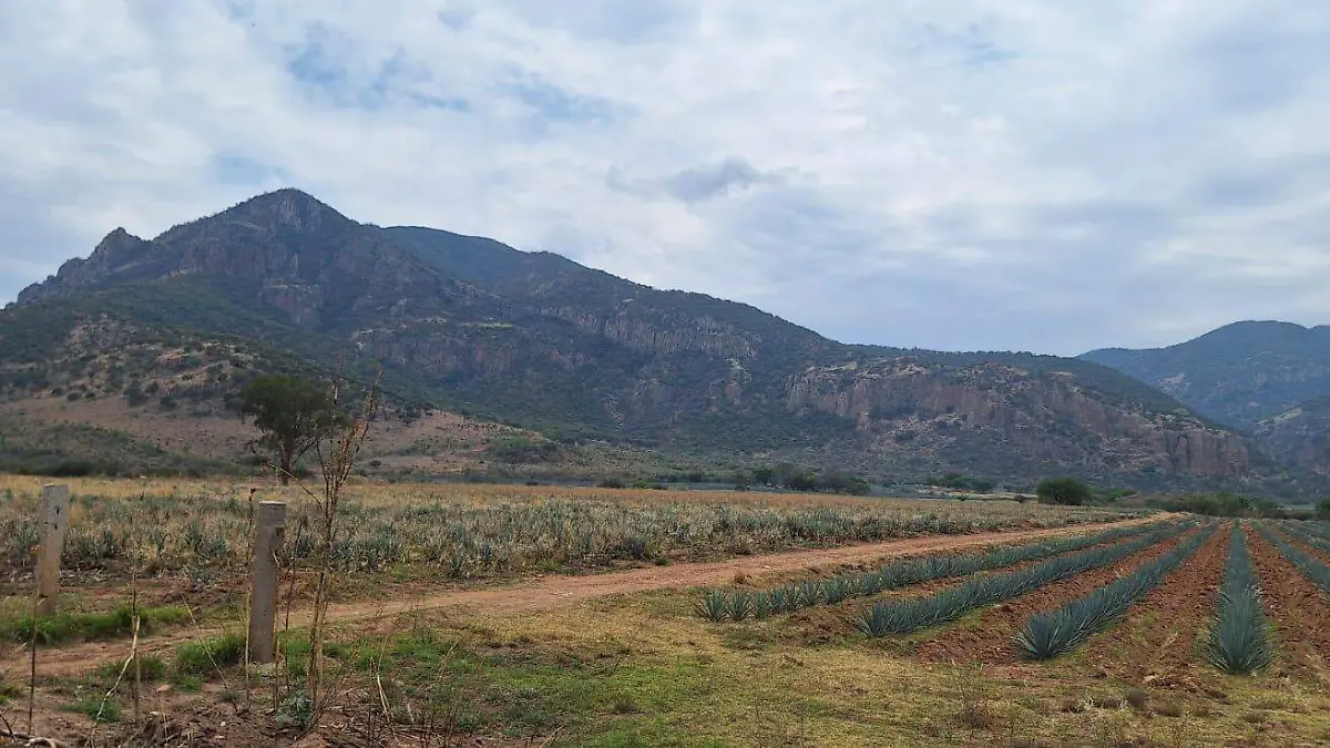 CUERAMARO ECOLOGIA Y AGUA FERIA (1)