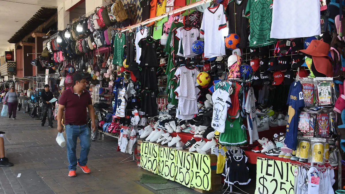 VENTAS JESUS GTZ EL SOL DE IRAPUATO (1)