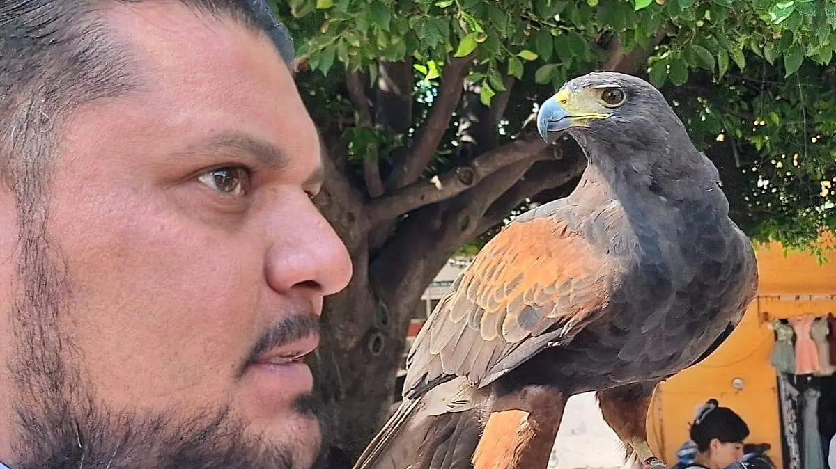 PENJAMO Agililla Harris (1)