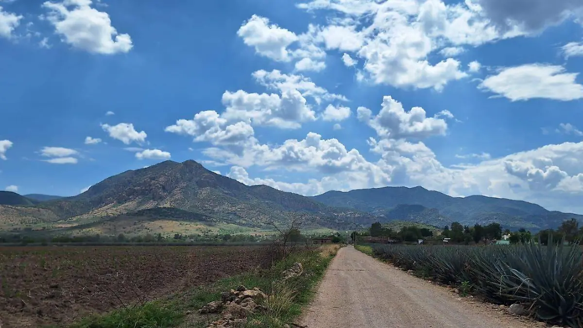 CUERAMARO Secretaria del campo Marisol (3)