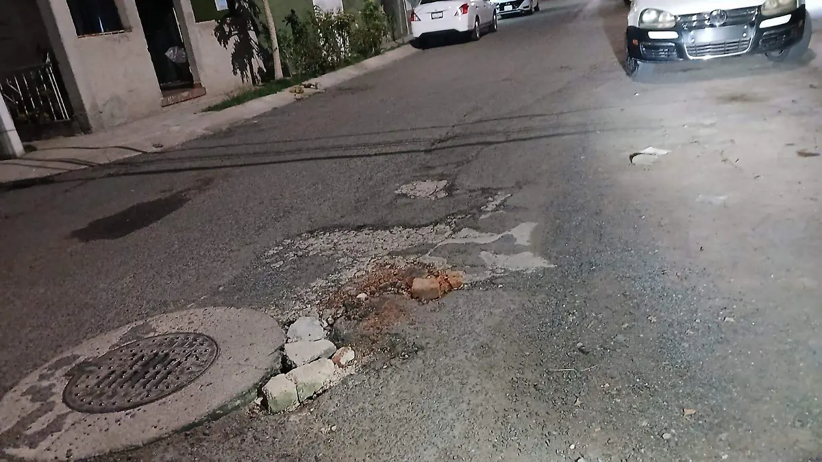 BACHES (5)