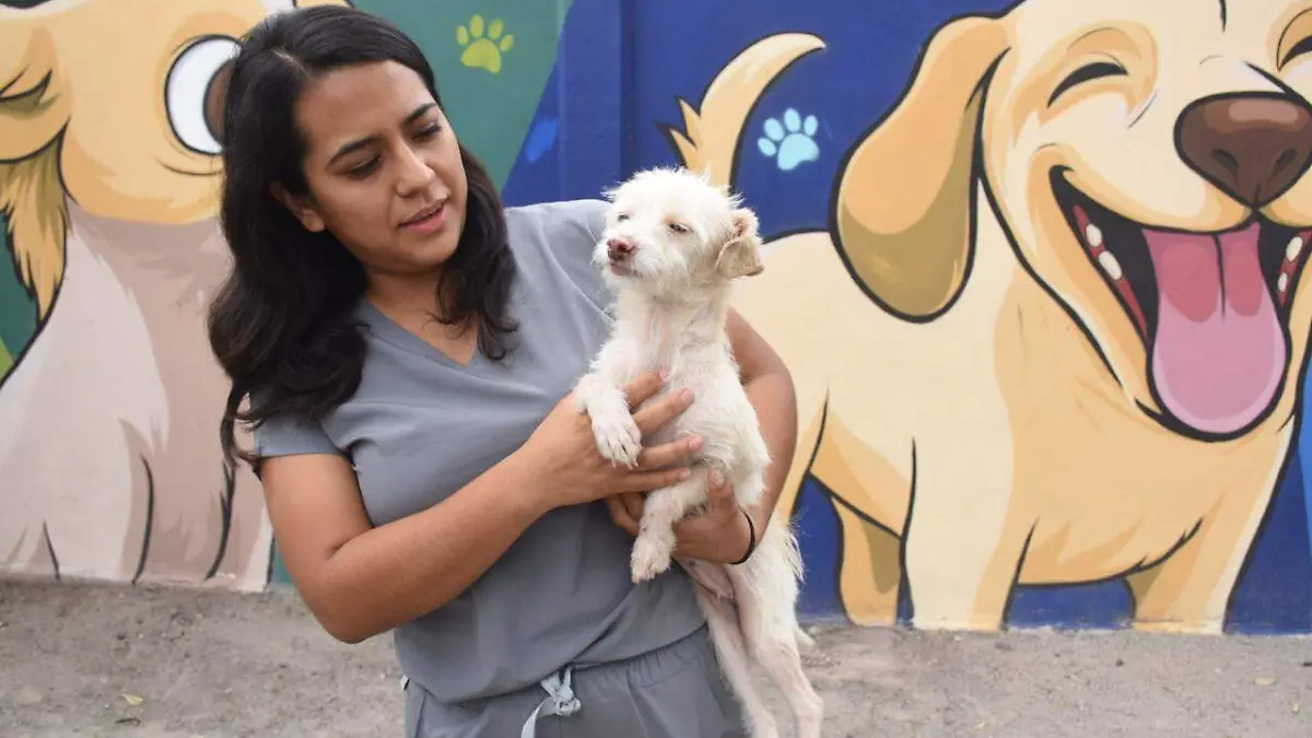 CANI ADOPCIÓN (2)