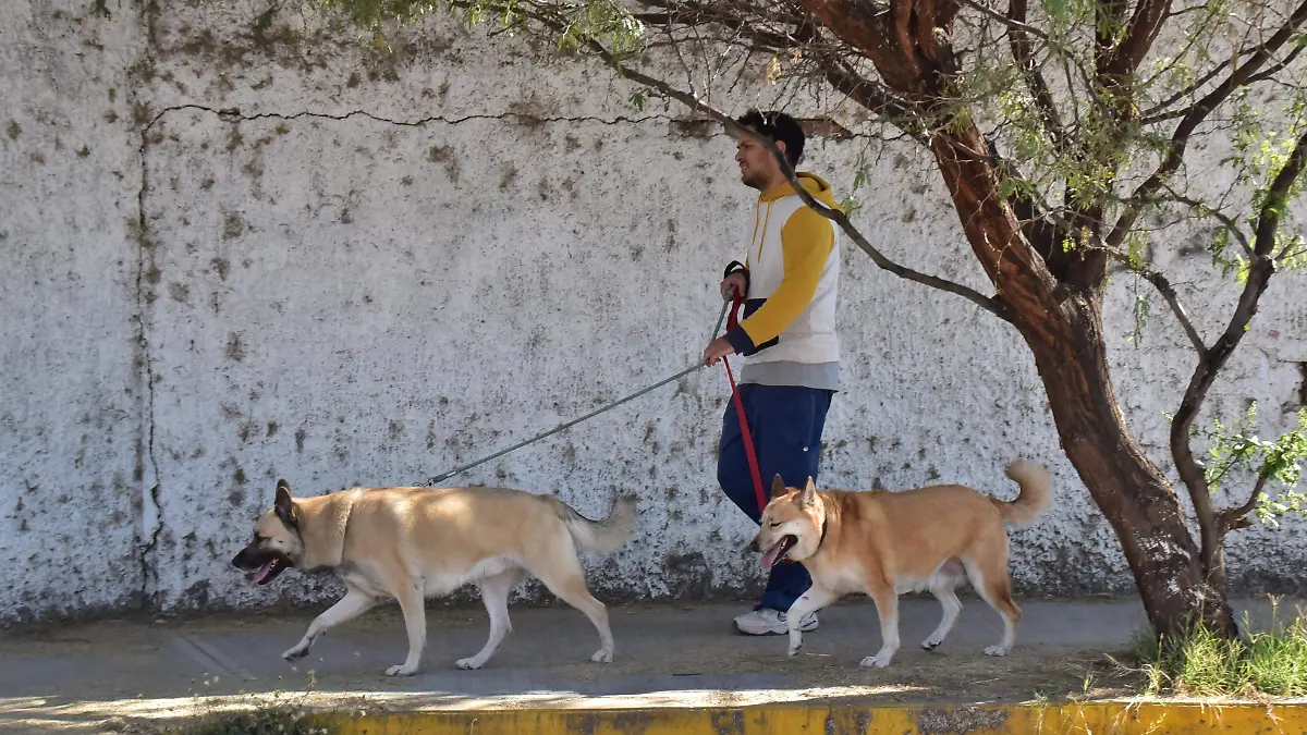 LORENA Y CUIDADO DEL BIENESTAR ANIMAL.- RICARDO SANCHEZ.- EL SOL DE IRAPUATO (1)