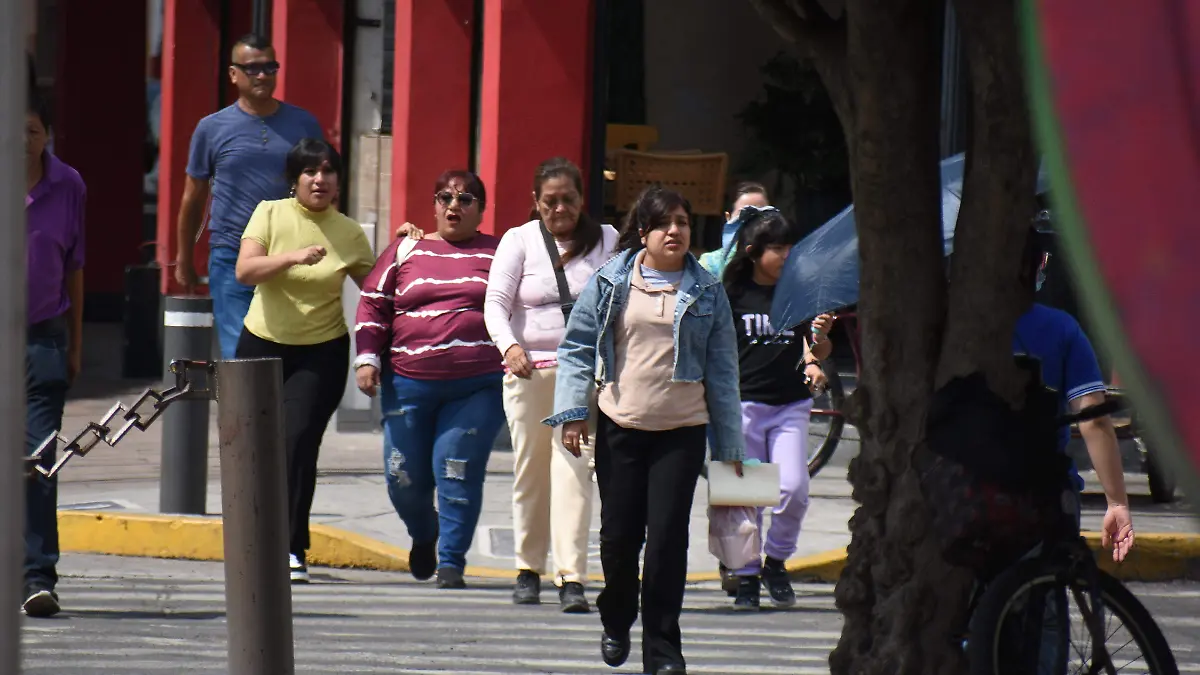 INSTANCIA PARA MUJERES JESUS GTZ EL SOL DE IRAPUATO  (2)