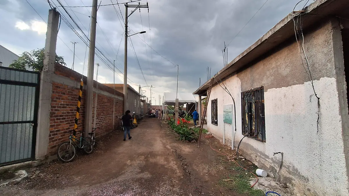ABASOLO Labor de Peralta (3)
