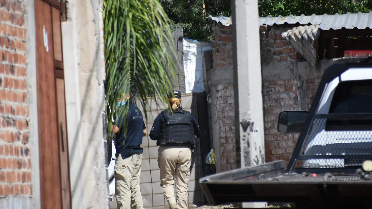 fosas irapuato (2)