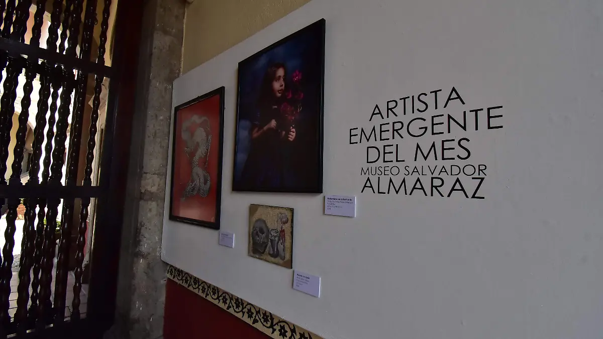 MUSEO SALVADOR ALAMAREZ.- RICARDO SANCHEEZX.- EL SOL DE IRAPUATO (1)