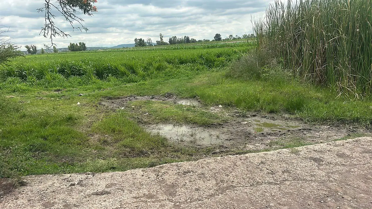 limpieza de arroyos (4)