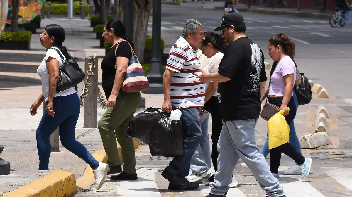 APOYO A MUJERES JESUS GTZ EL SOL DE IRAPUATO (3)