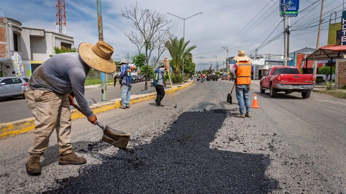 CUERAMARO Bacheo (1)