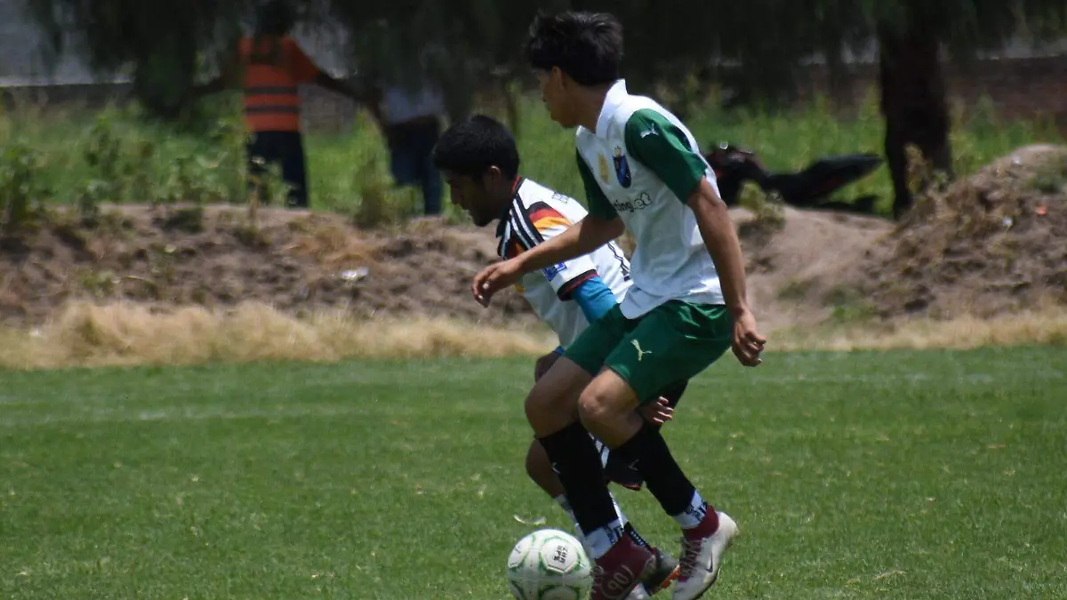 luis