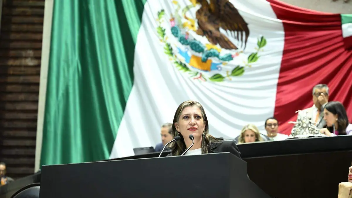 iniciativa feminicidio