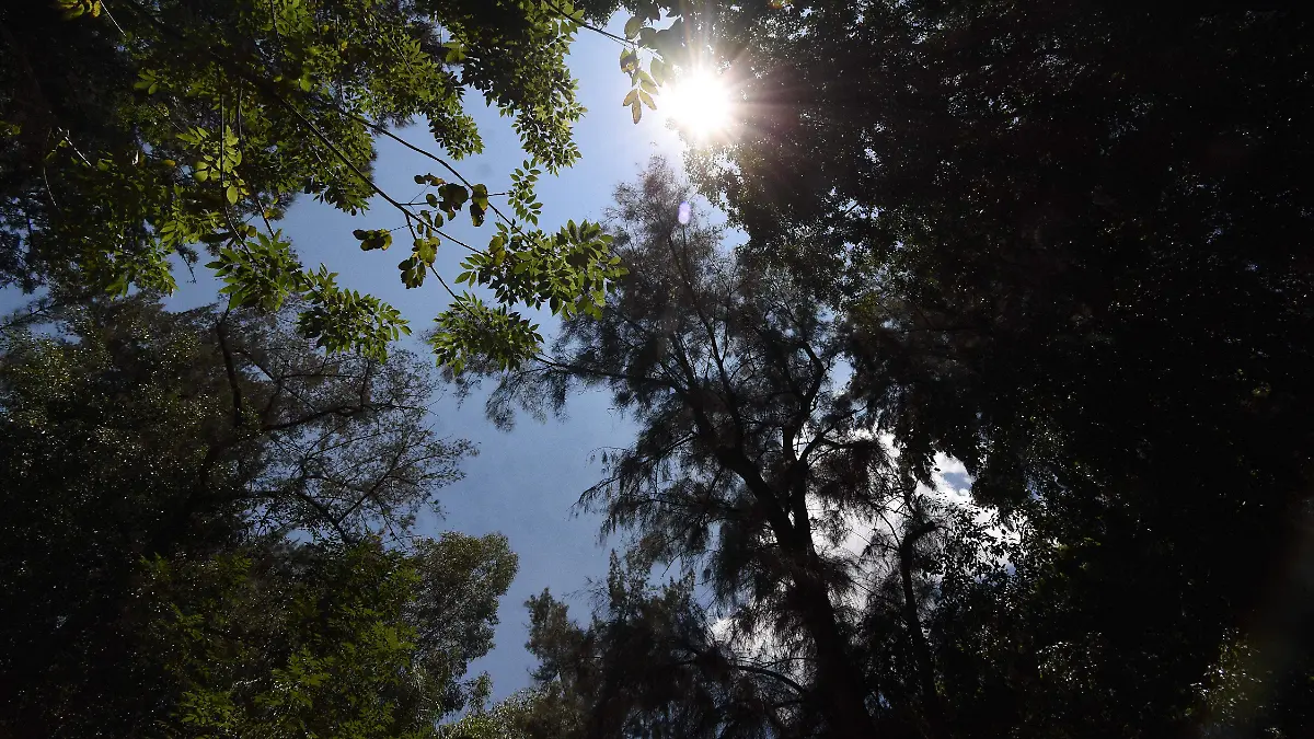 CAMBIO CLIMATICO (3)