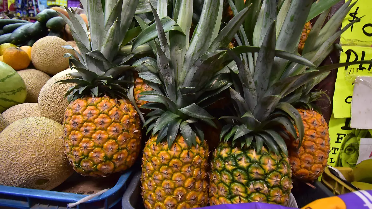PRESIO PIÑA Y MANGO .-RICARDO SANCHEZ.- EL SOL DE IRAPUATO  (4)