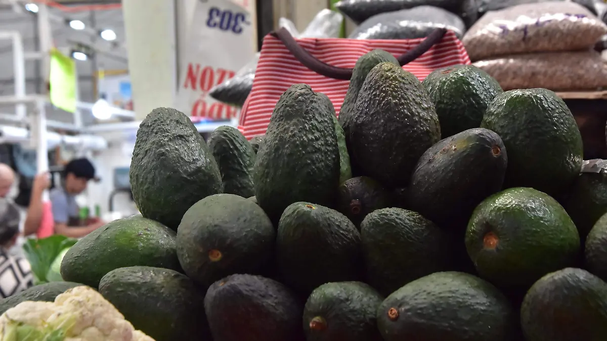 PRESIO DEL AGUACATE.- RICARDO SANCHEZ.- EL SOL DE IRAPUATO (2)