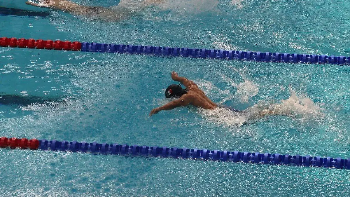 natacion1