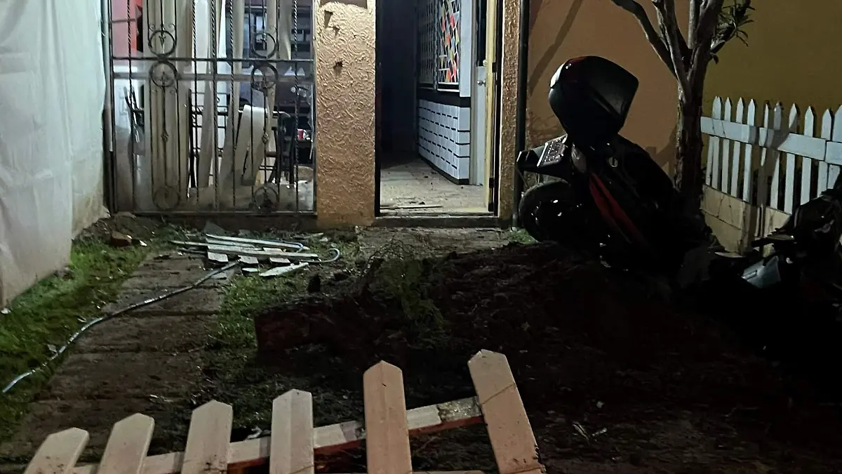 SEGUIMIENTO PERRO NEGRITO (2)