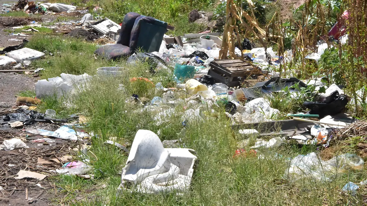 BASURA . ROGELIO.- RICARDO SANCHEZ.- EL SOL DE IRAPUATO (4)