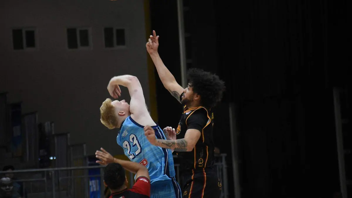 basket1