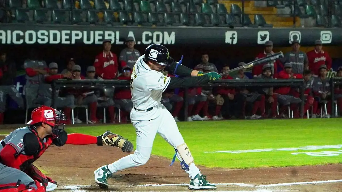 WhatsApp Image 2023-12-02 at 14.31.02