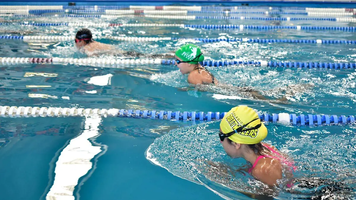 3b5043e1-a014-489f-82fe-8c0adb3a1a6d