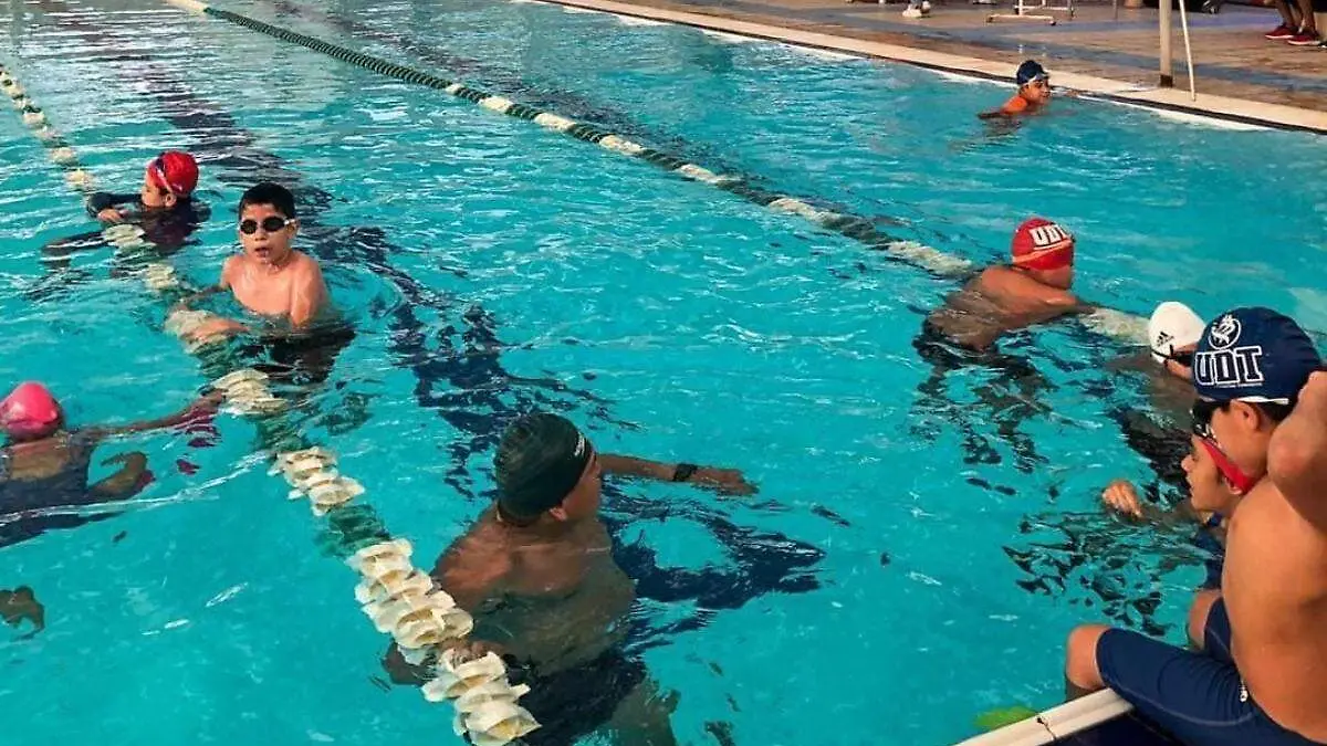 natación-cursos