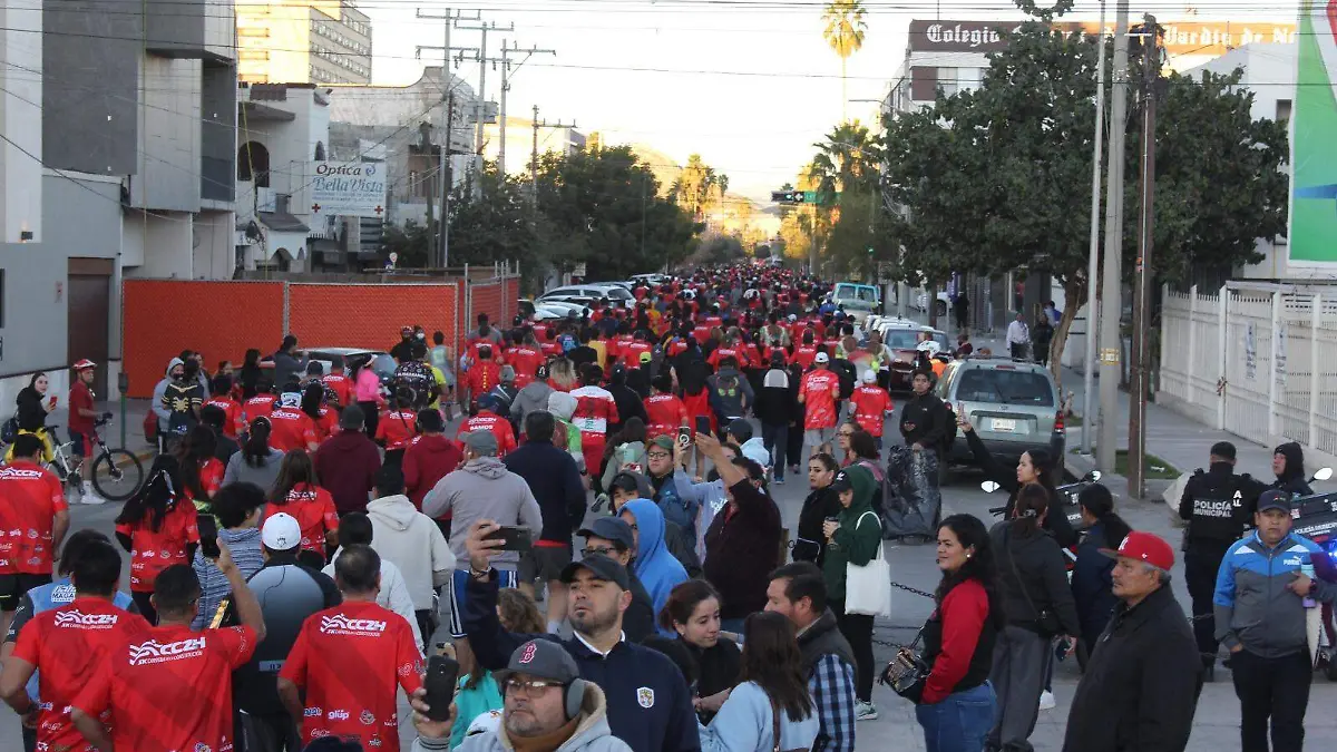 Carrera Constitución