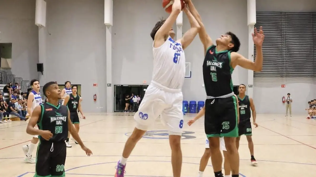 Halcones-UAL