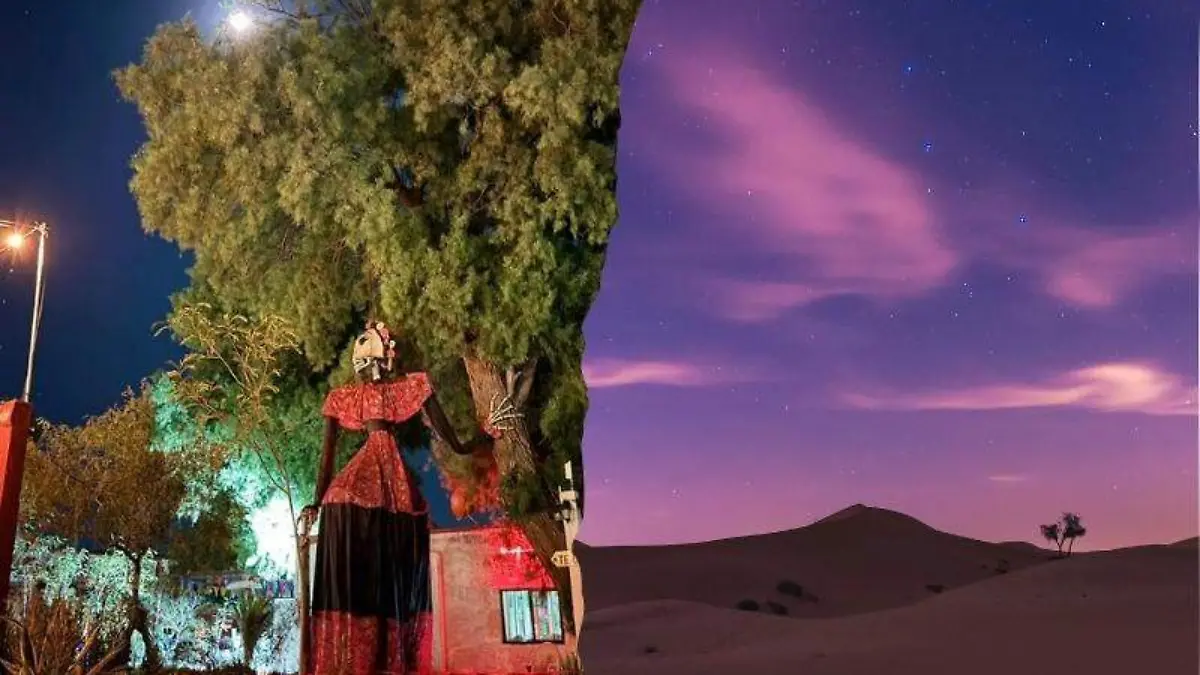 Diseño sin título (17)