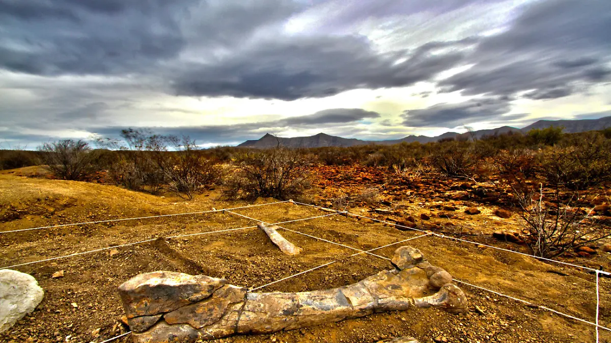 GENERAL-CEPEDA-Rincon-Colorado