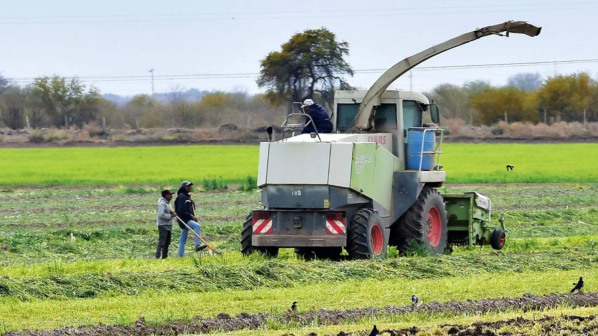 WhatsApp Image 2024-08-22 at 14.46.37