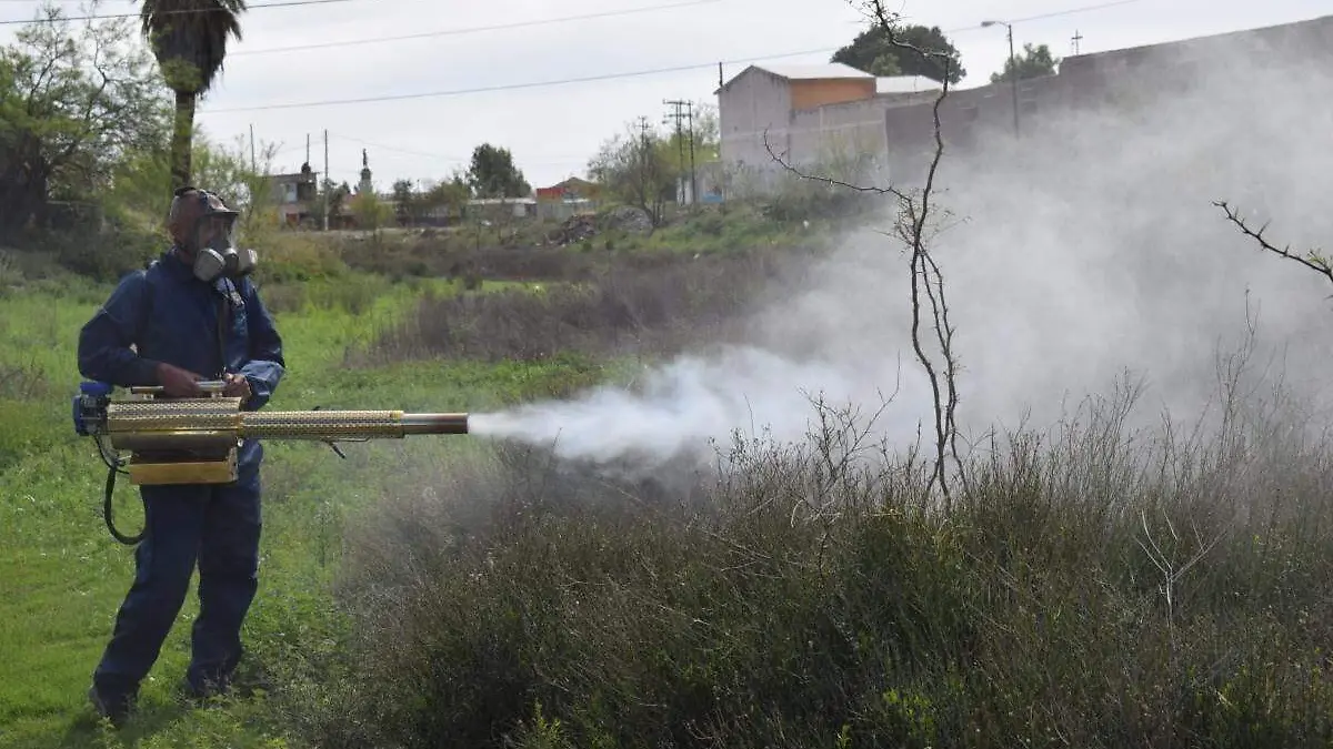 fumigación-SP