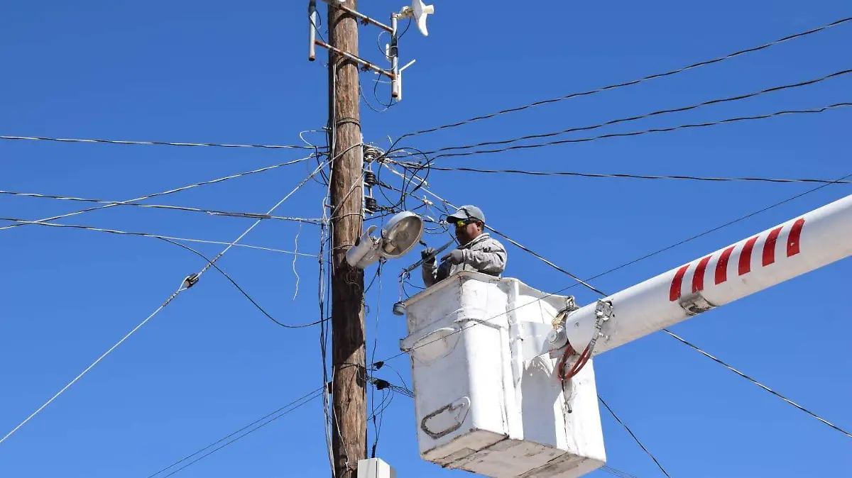 WhatsApp Image 2024-02-14 at 13.44.57