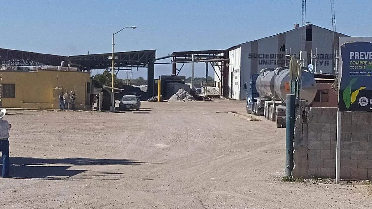 planta-despepitadora