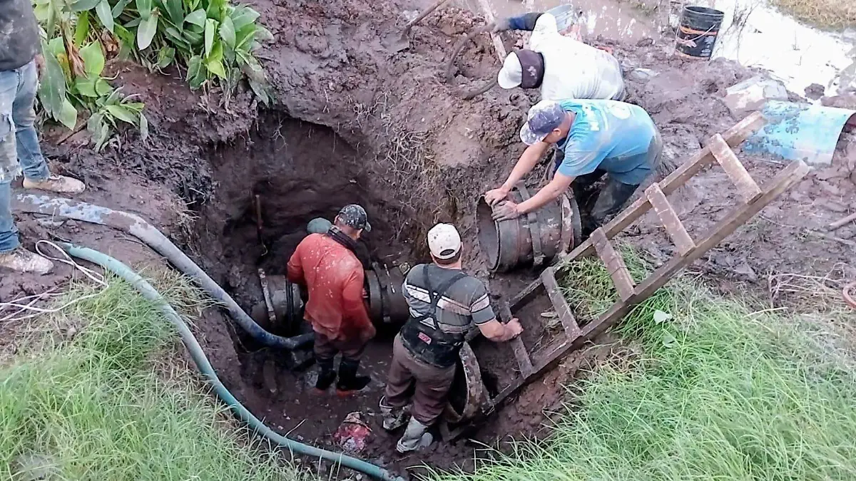 WhatsApp Image 2023-12-06 at 11.47.54