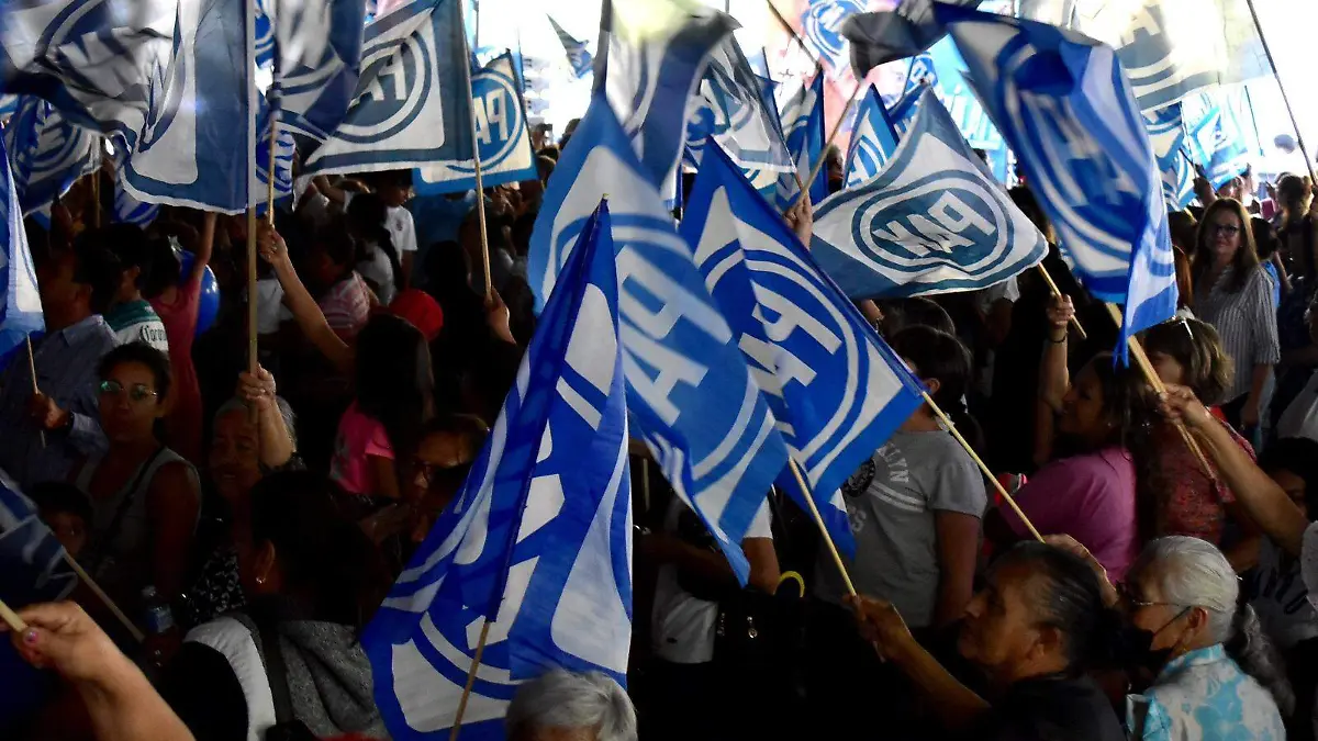 WhatsApp Image 2024-01-09 at 12.44.34