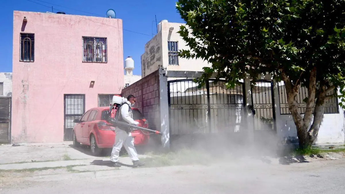 Dengue