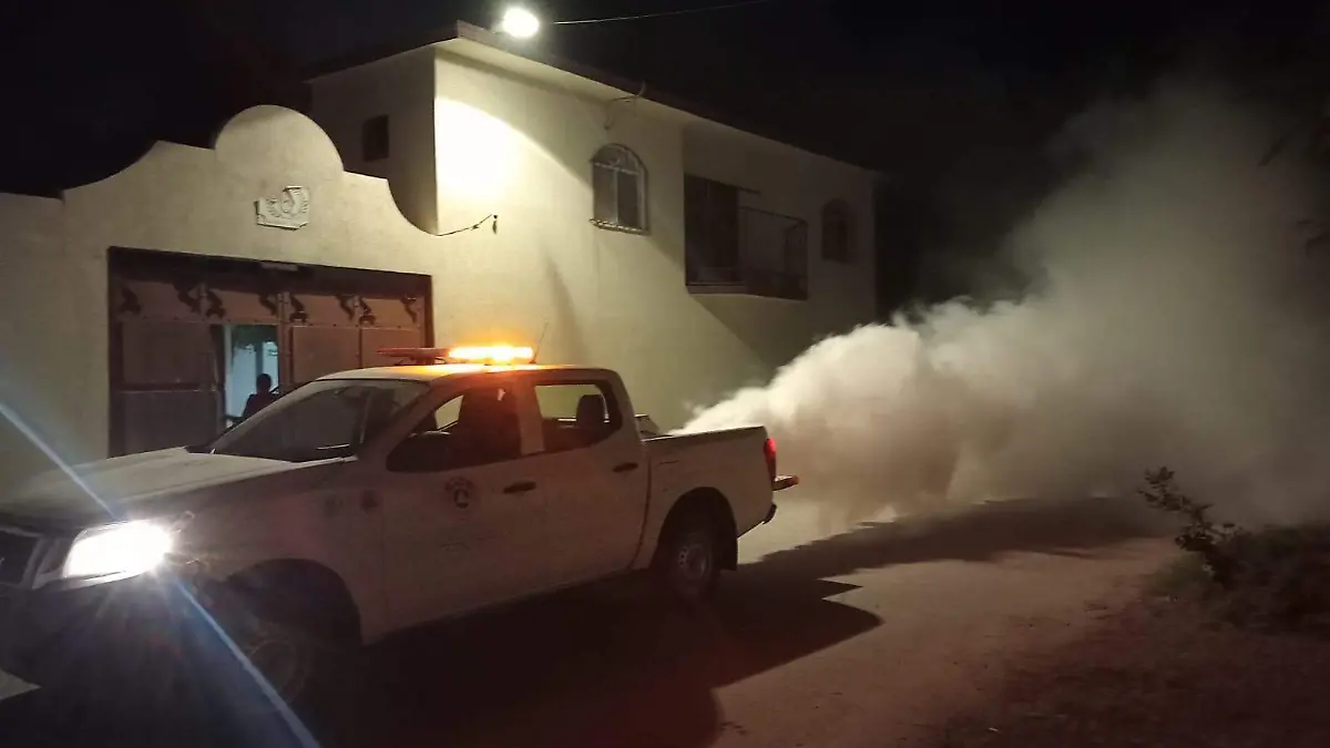 WhatsApp Image 2024-10-03 at 12.12.02